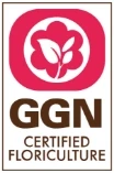 GGN