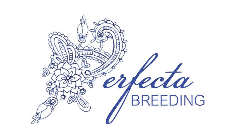 Perfecta Breeding Logo