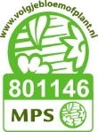 MPS