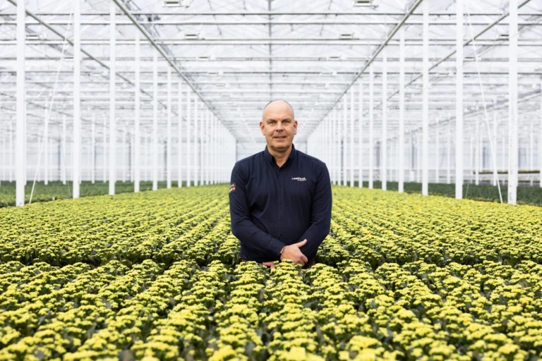 Kwekerij Lankhaar Kalanchoë André Lankhaar