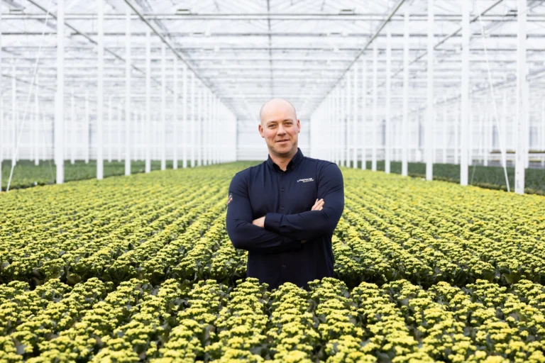 Kwekerij Lankhaar Kalanchoë Remco Zuijderwijk
