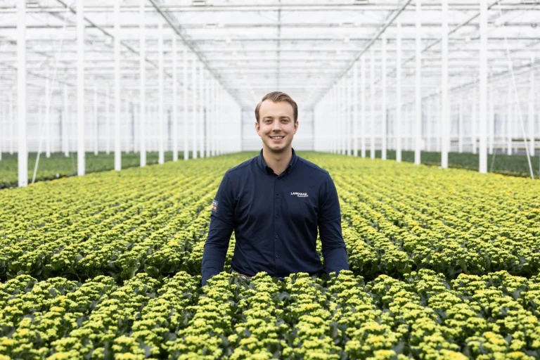 kwekerij lankhaar kalanchoe