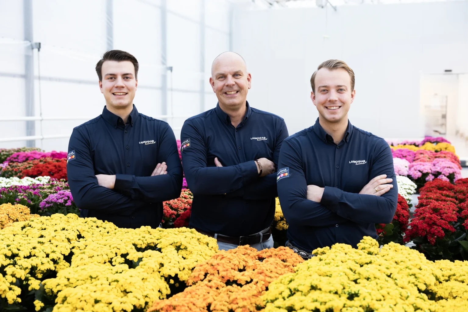 kwekerij lankhaar kalanchoe